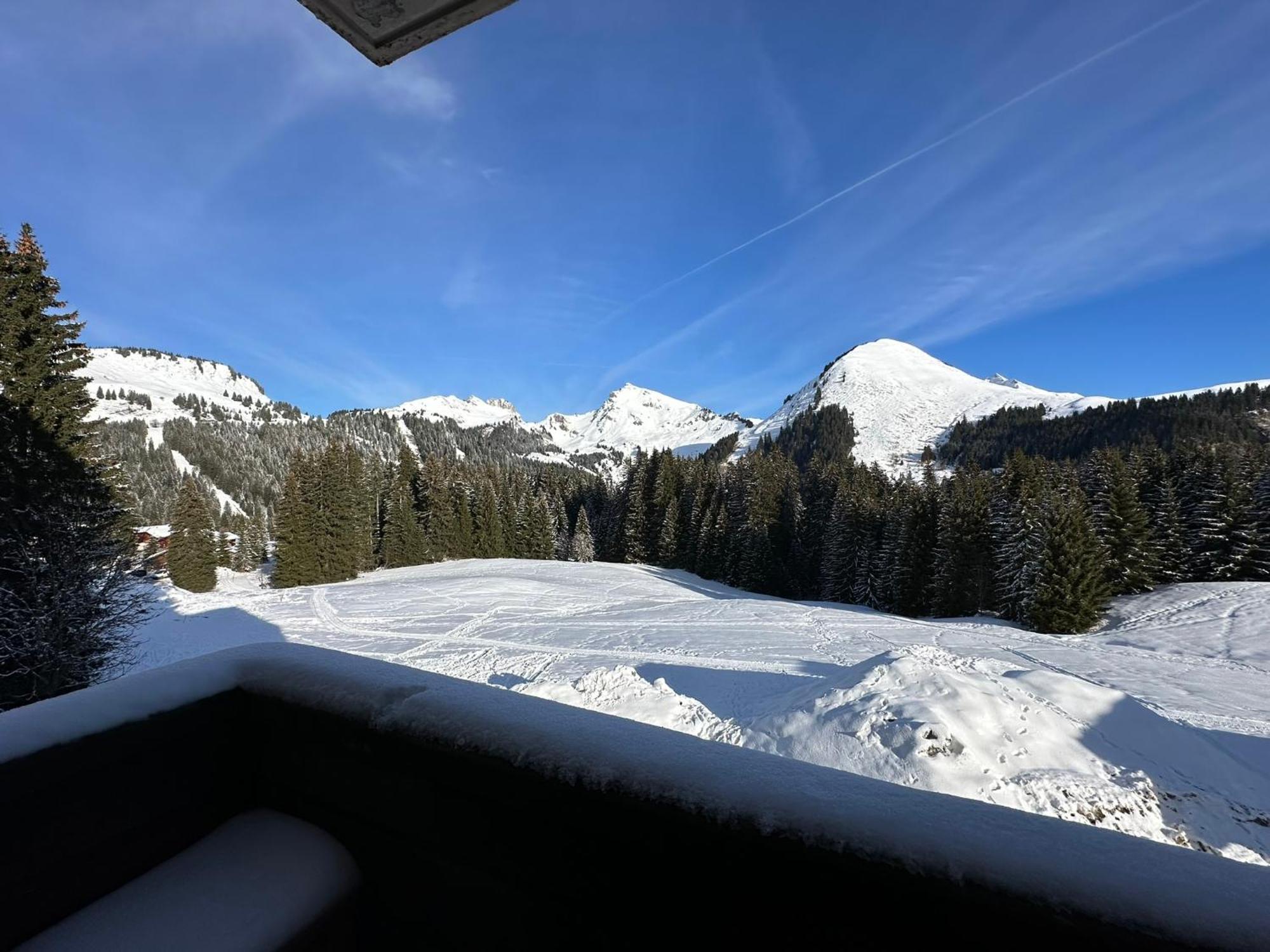 Studio Au Coeur Du Praz-De-Lys - Les Pralyssimes Praz de Lys – Sommand Zewnętrze zdjęcie