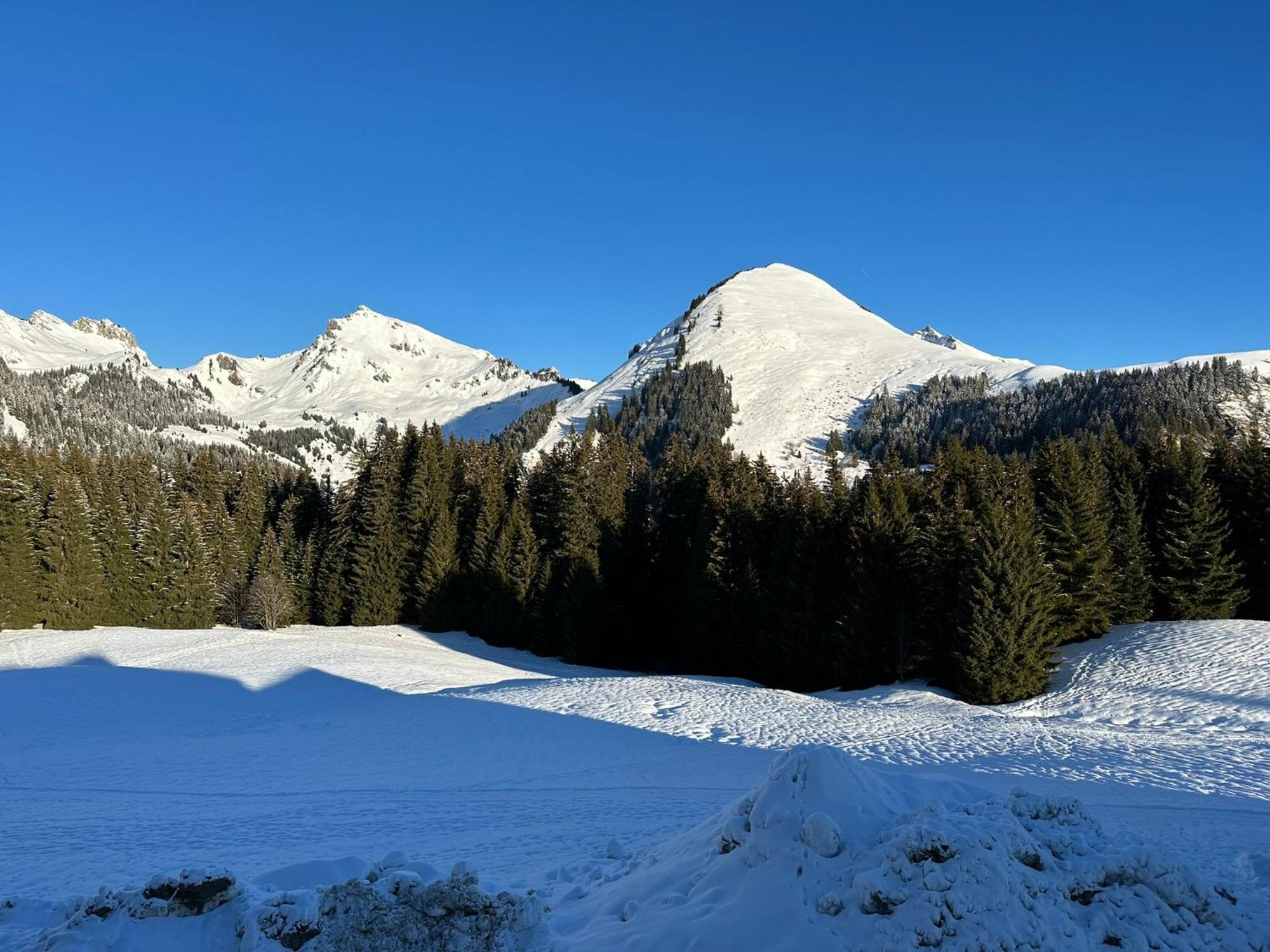 Studio Au Coeur Du Praz-De-Lys - Les Pralyssimes Praz de Lys – Sommand Zewnętrze zdjęcie