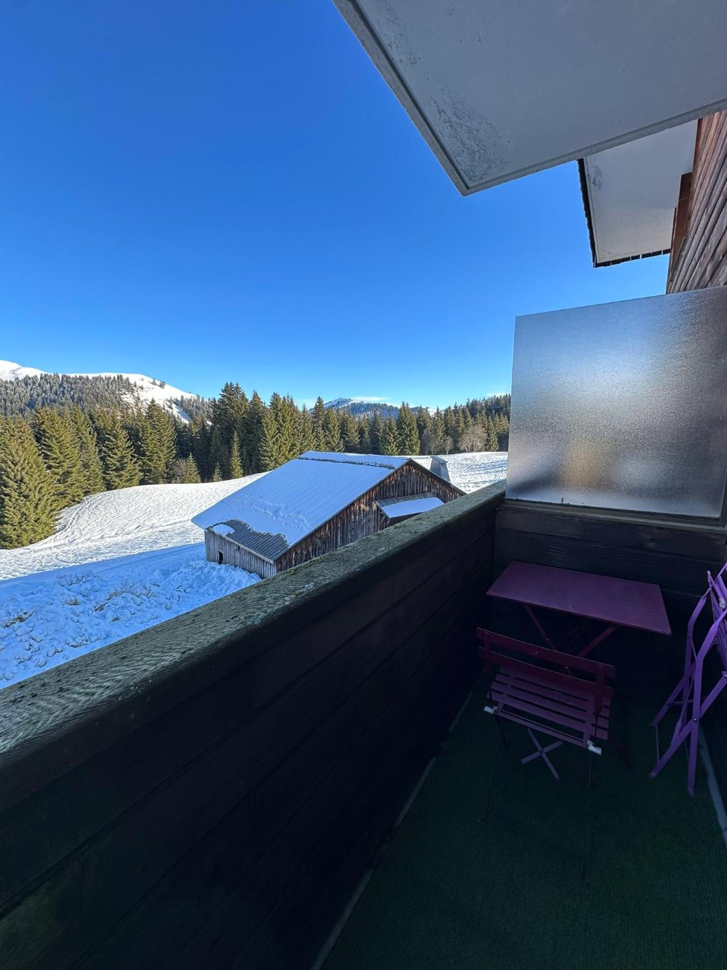 Studio Au Coeur Du Praz-De-Lys - Les Pralyssimes Praz de Lys – Sommand Zewnętrze zdjęcie