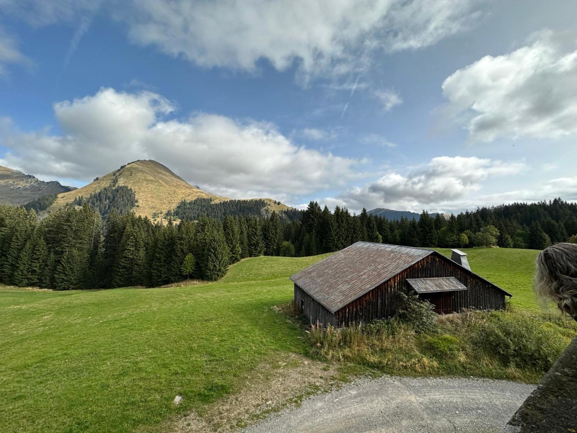 Studio Au Coeur Du Praz-De-Lys - Les Pralyssimes Praz de Lys – Sommand Zewnętrze zdjęcie