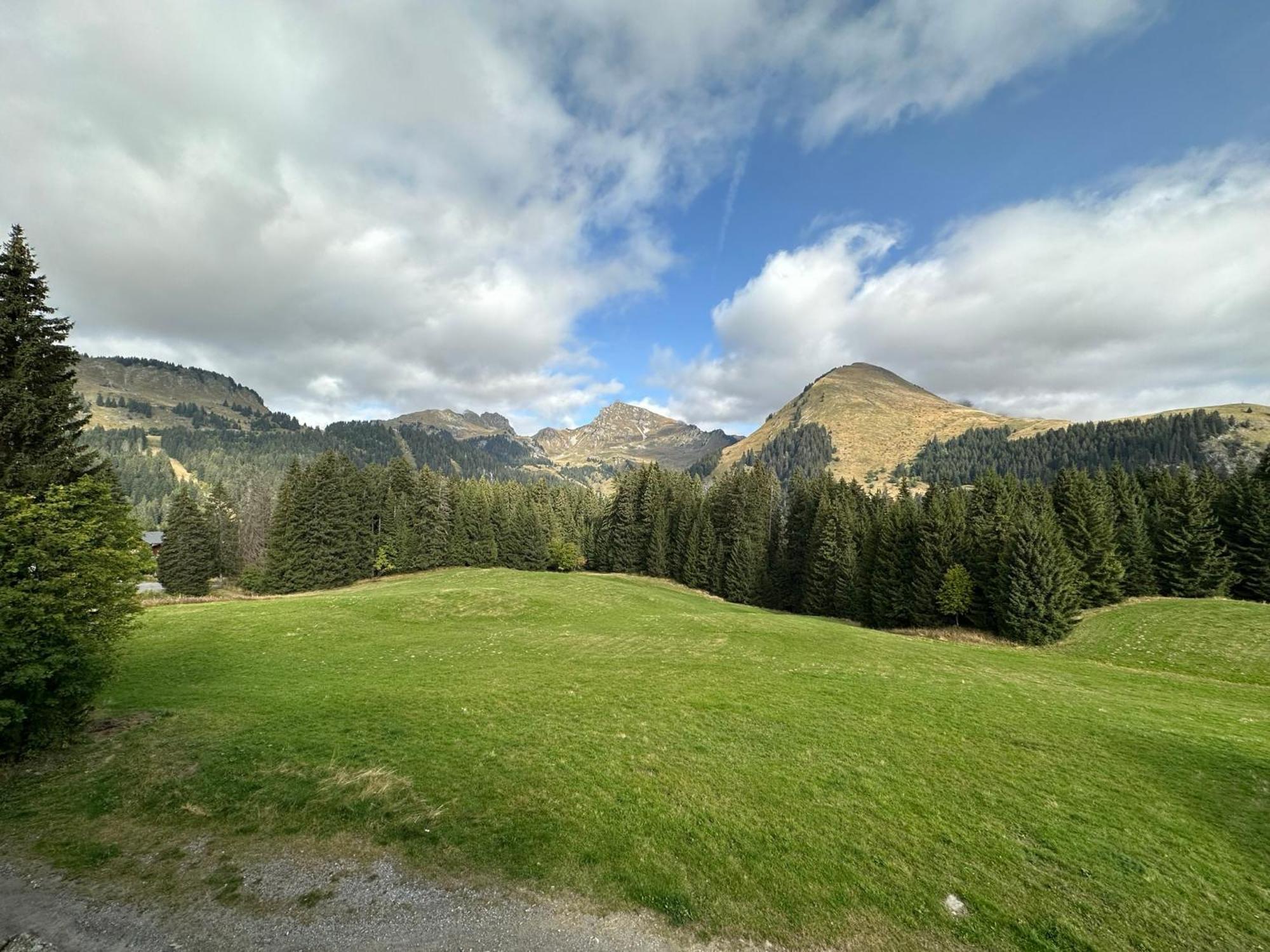 Studio Au Coeur Du Praz-De-Lys - Les Pralyssimes Praz de Lys – Sommand Zewnętrze zdjęcie