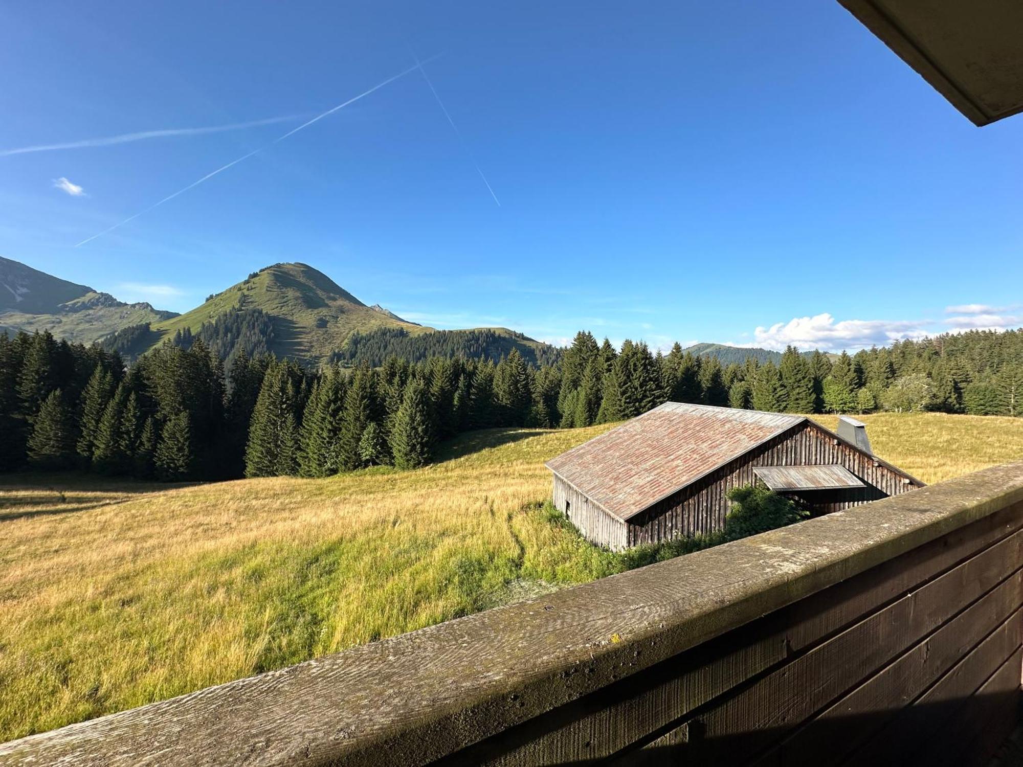 Studio Au Coeur Du Praz-De-Lys - Les Pralyssimes Praz de Lys – Sommand Zewnętrze zdjęcie