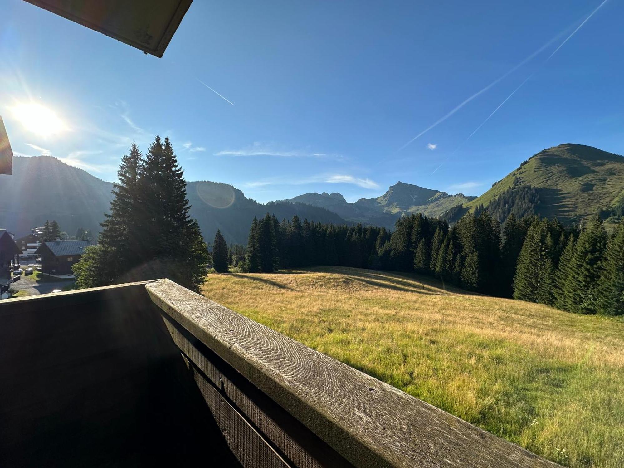 Studio Au Coeur Du Praz-De-Lys - Les Pralyssimes Praz de Lys – Sommand Zewnętrze zdjęcie